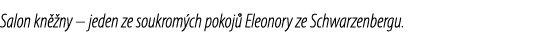 Salon kn ny – jeden ze soukrom ch pokoj  Eleonory ze Schwarzenbergu.