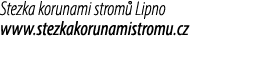 Stezka korunami strom Lipno www.stezkakorunamistromu.cz