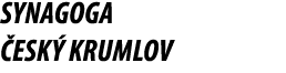 Synagoga esk  Krumlov