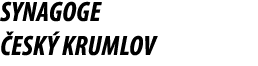 Synagoge esk  Krumlov