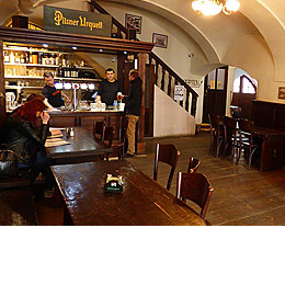 Travel restaurant & pub (Český Krumlov)